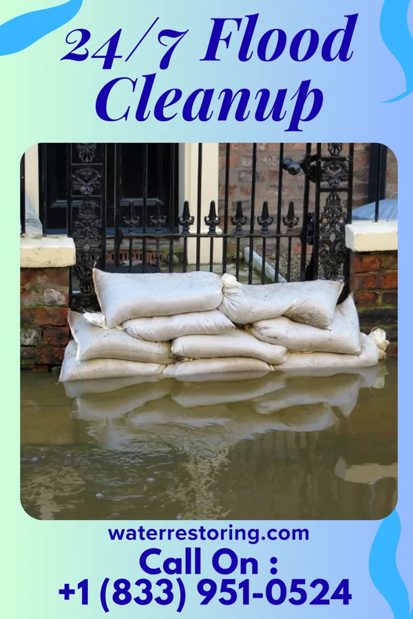 24/7 Flood Cleanup in Wanamassa, NJ