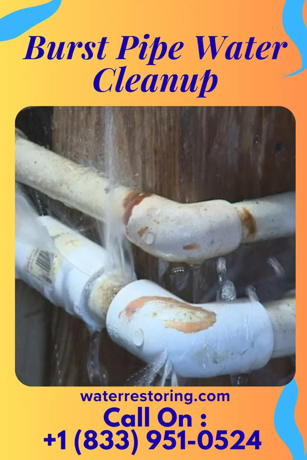 Burst Pipe Water Cleanup in Wanamassa, NJ