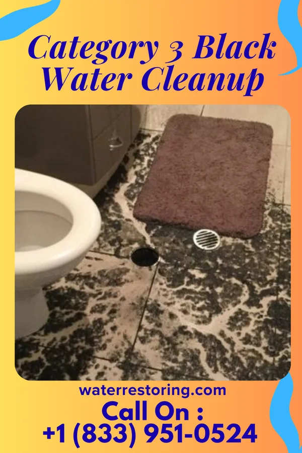 Category 3 Black Water Cleanup in Wanamassa, NJ