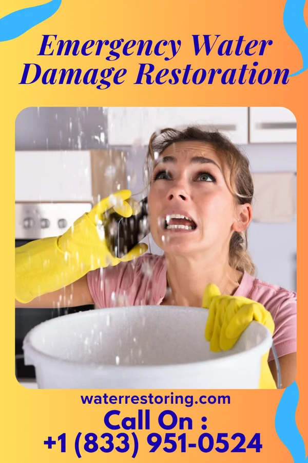 Emergency Water Damage Restoration in Wanamassa, NJ