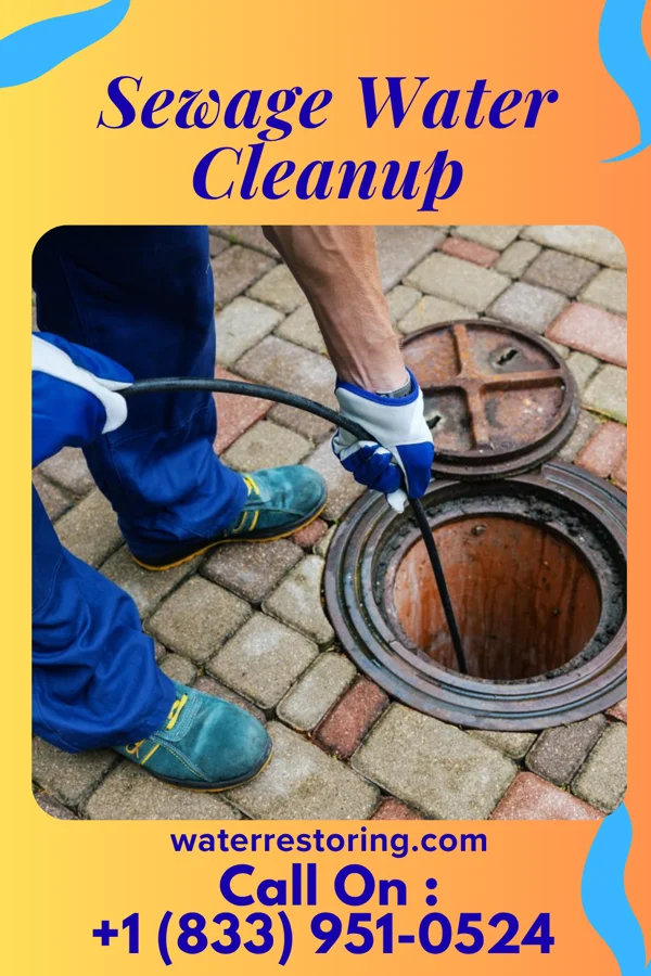 Sewage Water Cleanup in Wanamassa, NJ