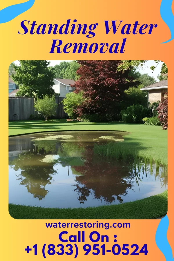 Standing Water Removal in Wanamassa, NJ